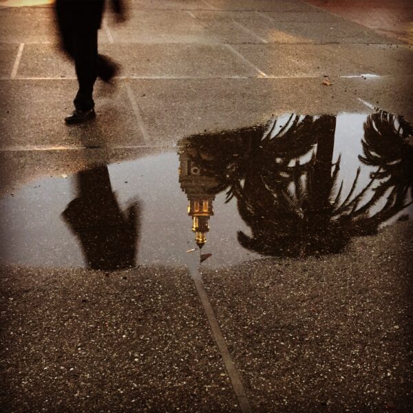 the Ferry Building Clock Tower, a pwlm tree, and a passing pedestrian are reflected in a puddle in San Francisco