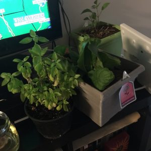 Plant rescue