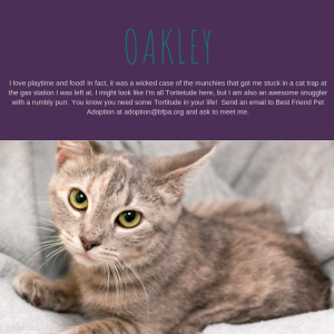 Oakley