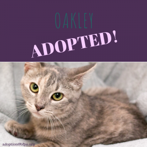 Oakley-ADOPTED