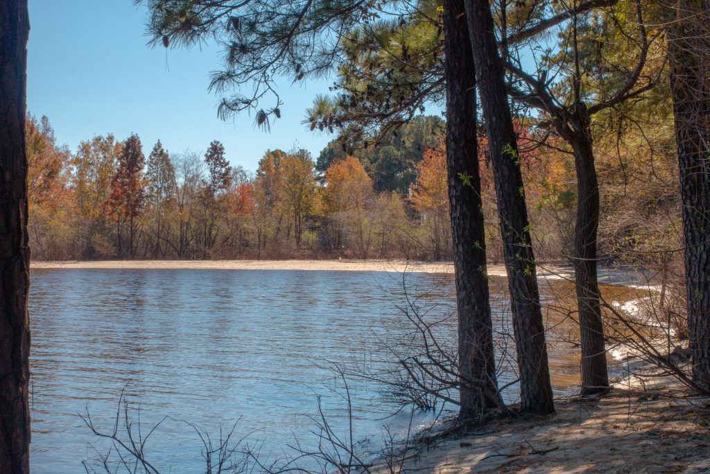 Along the shoreline