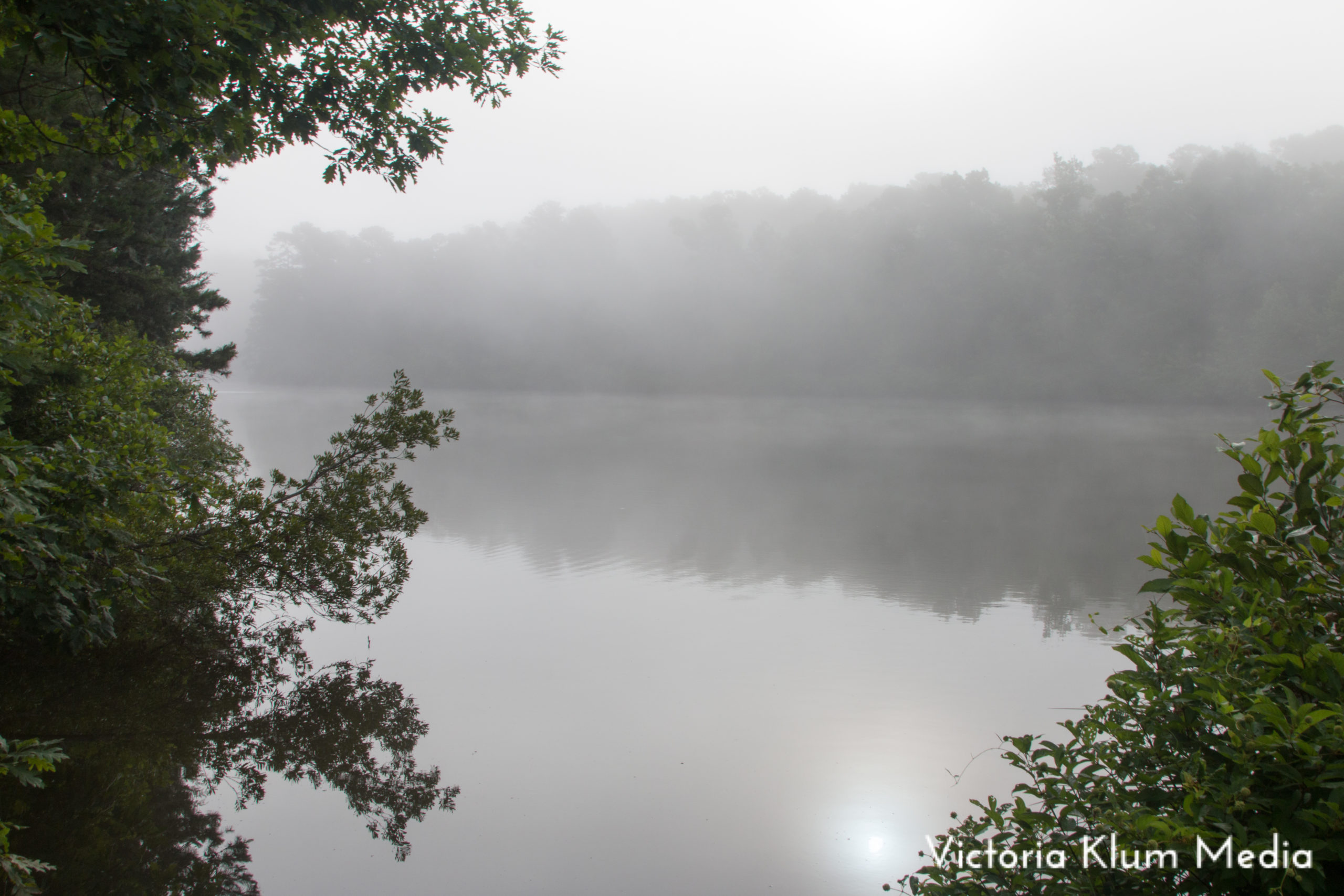 a pond surrounded by trees with fog rising from the water