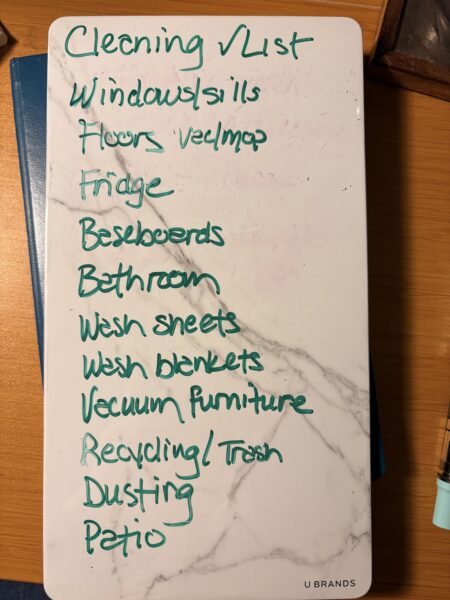 My New Year Deep Clean List: Windows/sills, Floors (vac/mop), Fridge (DONE), baseboards, bathroom, wash sheets, wash blankets, vacuum furniture, recycling/trash, dusting, patio