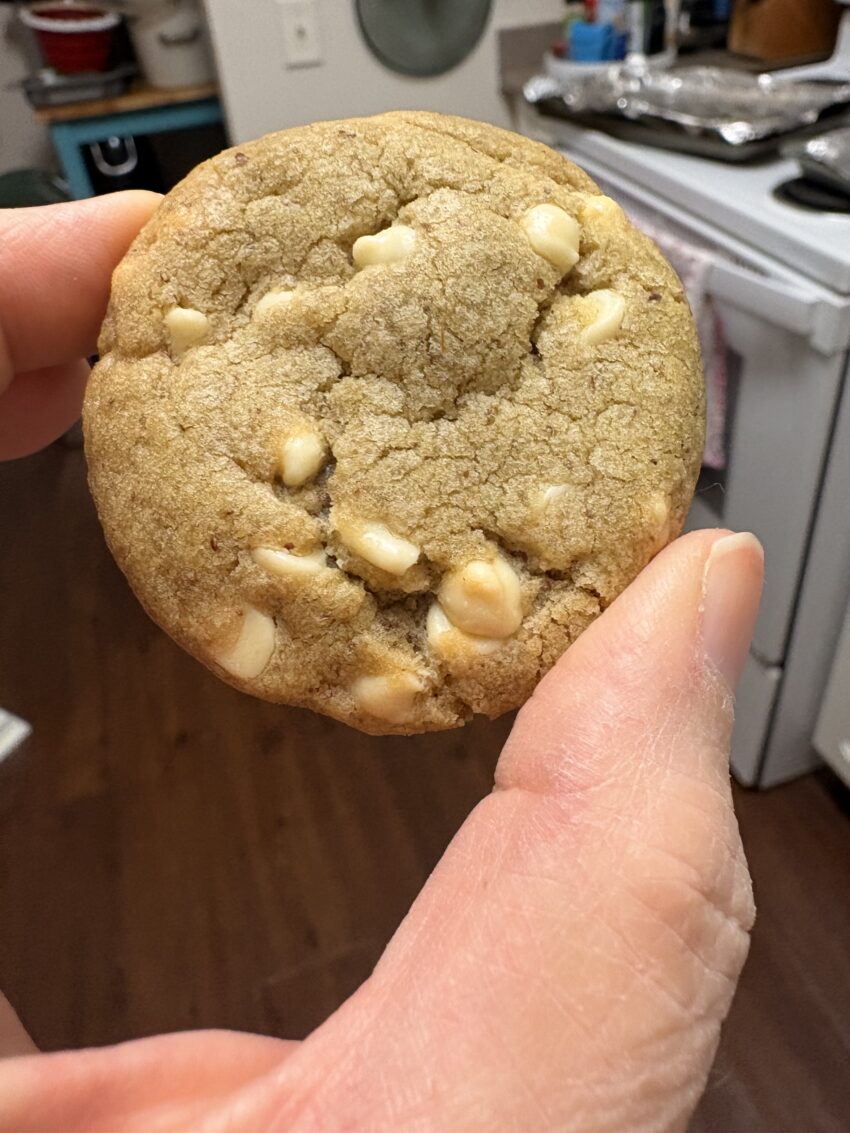a hand holding a small matcha green tea cookie with white chocolate chips