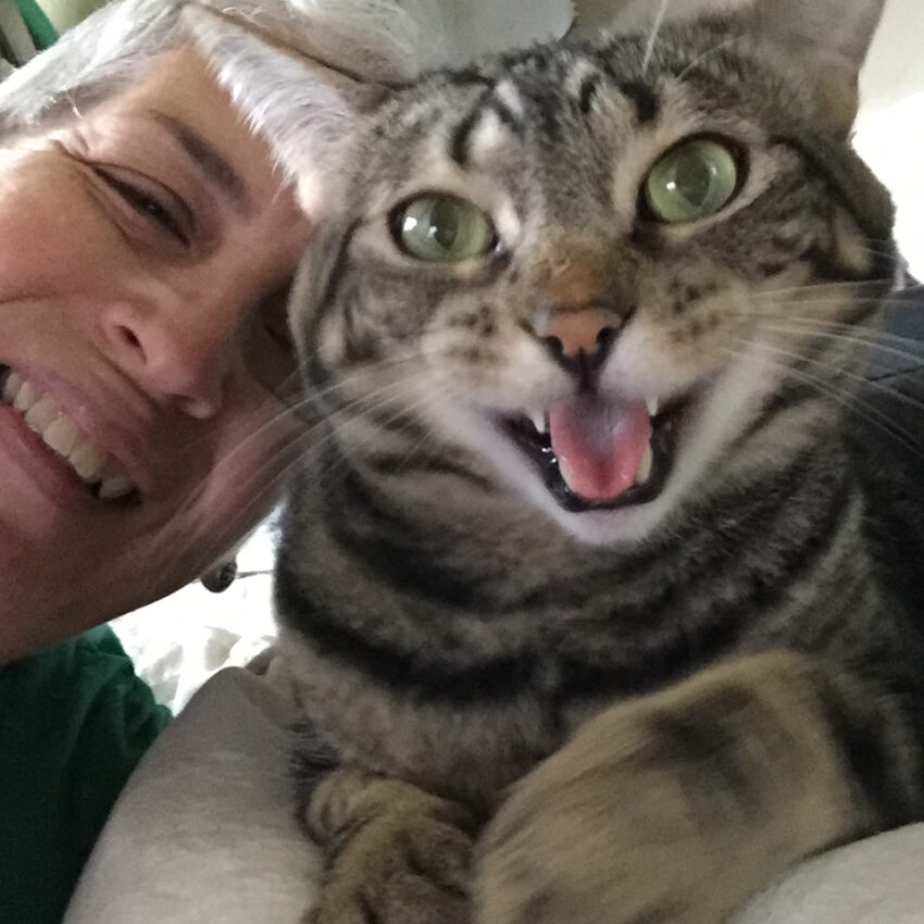 a woman with short hair leaning toward a brown tabby - both appear to be smiling